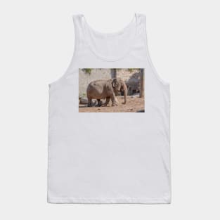 Young Asian Elephant Tank Top